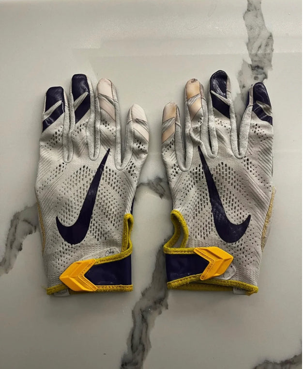 LSU gloves