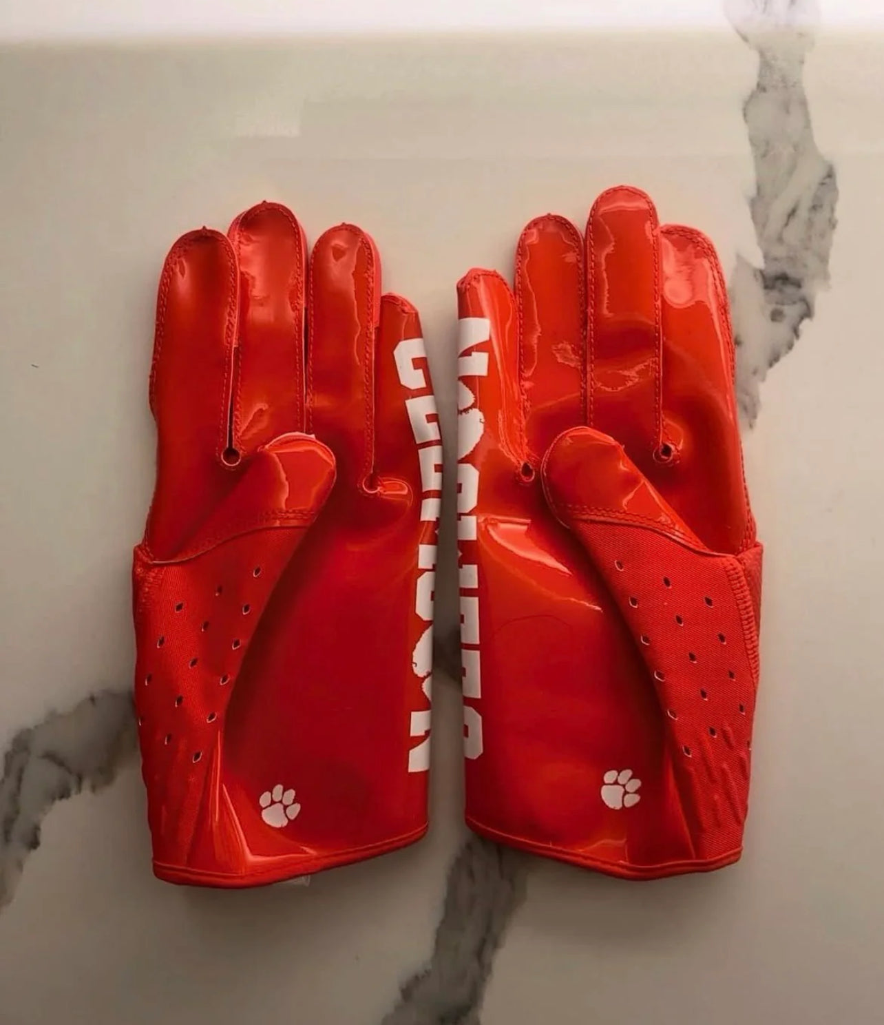 Clemson Gloves